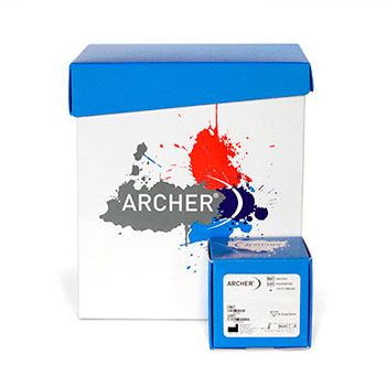 archer