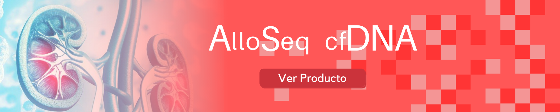Monitorización del daño renal en el paciente trasplantado mediante NGS 4 Formación Interna 1