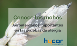 Conoce los mohos: Aeroalérgenos importantes en las pruebas de alergia