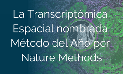 La Transcriptómica Espacial nombrada Método del Año por Nature Methods