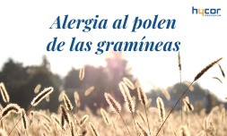 Alergia al polen de las gramíneas