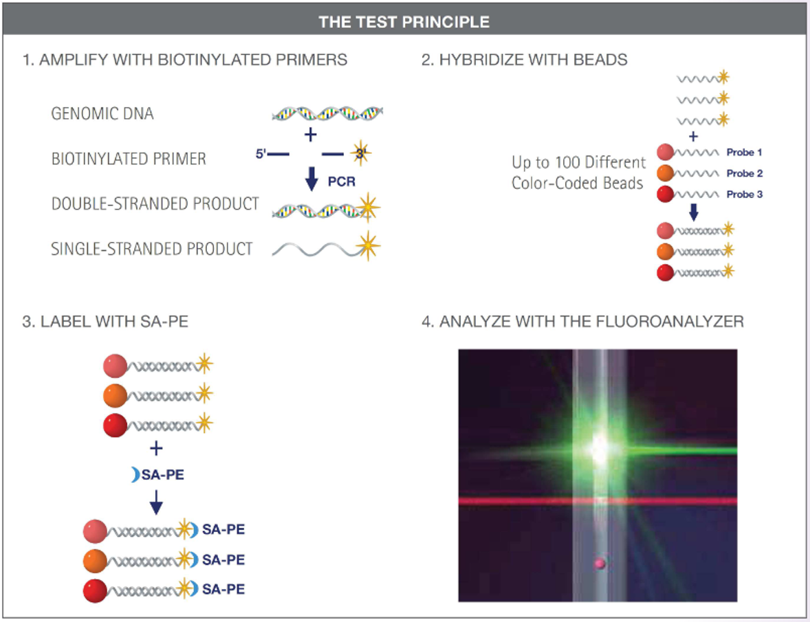Tipaje LIFECODES HLA-SSO 1 image