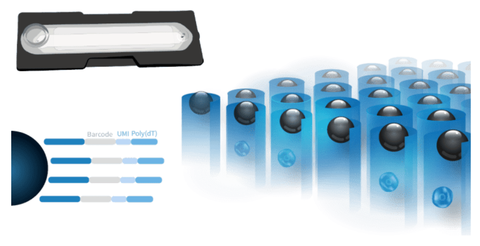 SCOPE™ Kits 2 Lisis celular y 1