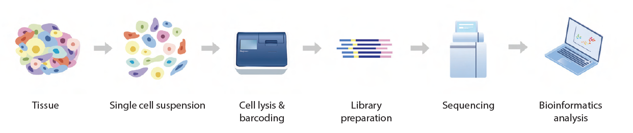 imagen 2024 06 21 143640833