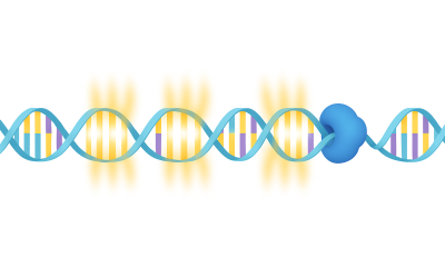 Biopsia líquida y detección de inestabilidad de microsatélites (MSI)