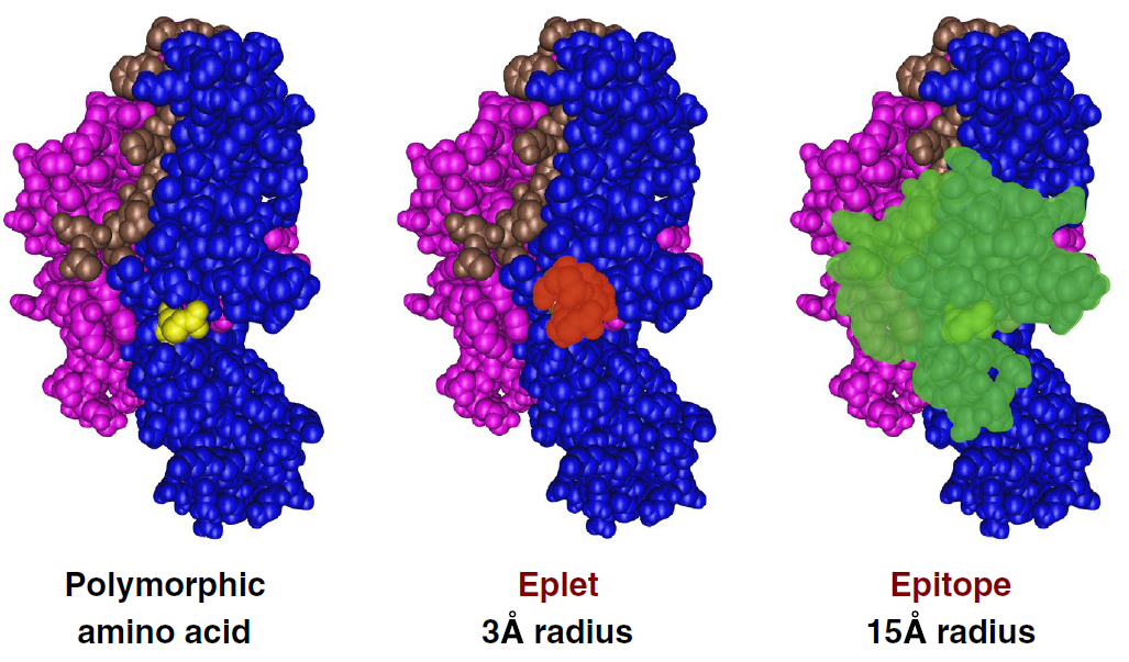 imagen 2025 05 14 120358704
