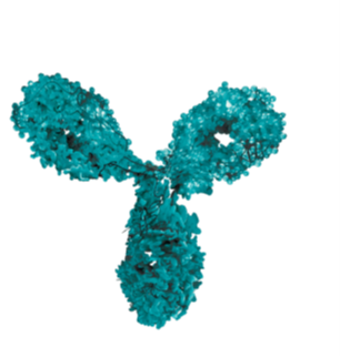 SomaScan® 11K Assay 2 anticuerpos