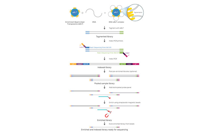 row 43 figure 3 genes included in key guidelines 022624