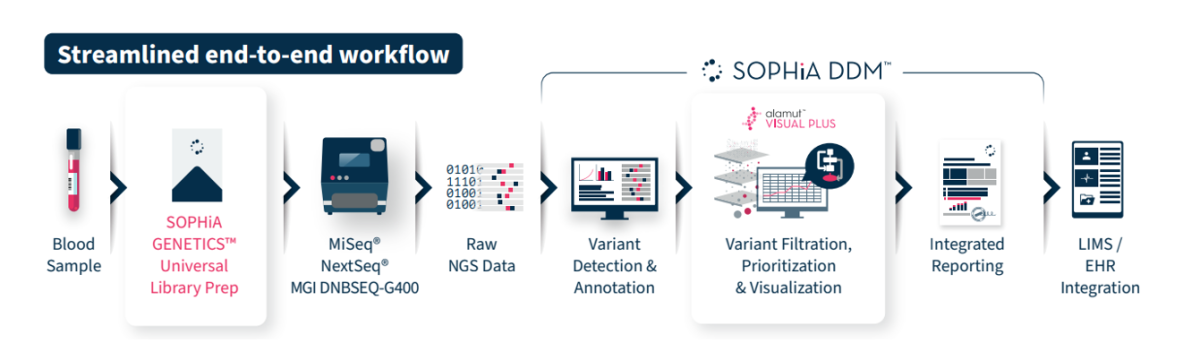 sophia workflow