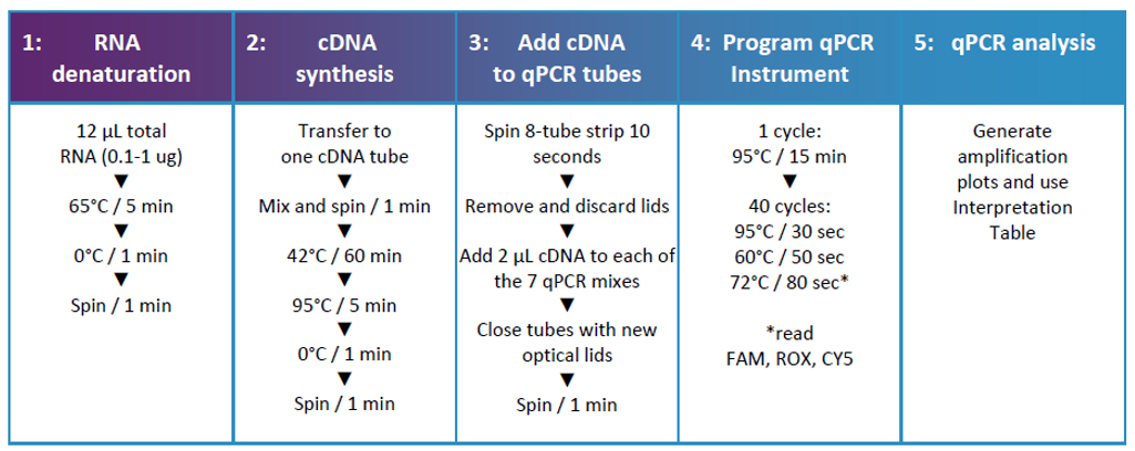 HemaVision® — Paneles 7Q y 28Q para cribado de leucemias por RT‑qPCR 2 hemavision funcionamiento