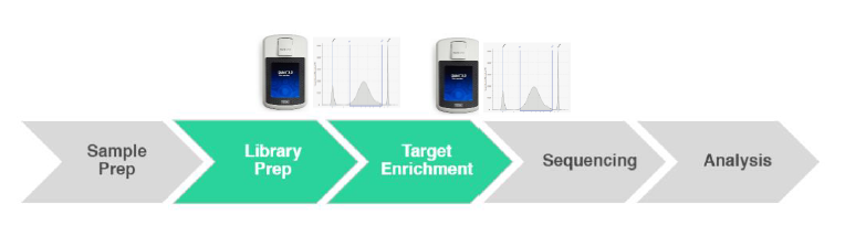 Twist Custom Myeloid Panel 1 twist workflow mieloide