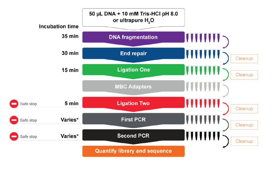 variant plex core workflow 1