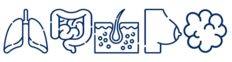 VariantPlex ™ Solid Tumor Focus v2 2