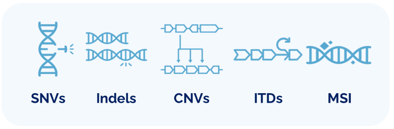 VariantPlex ™ Solid Tumor Focus v2 4