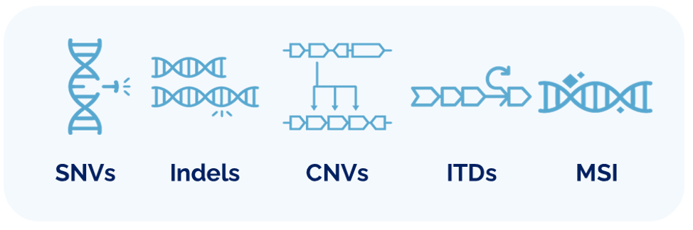 VariantPlex ™ Pan Solid Tumor 4