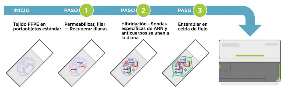 Preparación de muestras CosMx