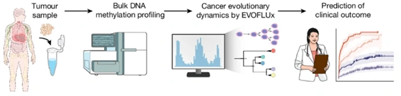 Esquema EVOFLUx metilación fluctuante