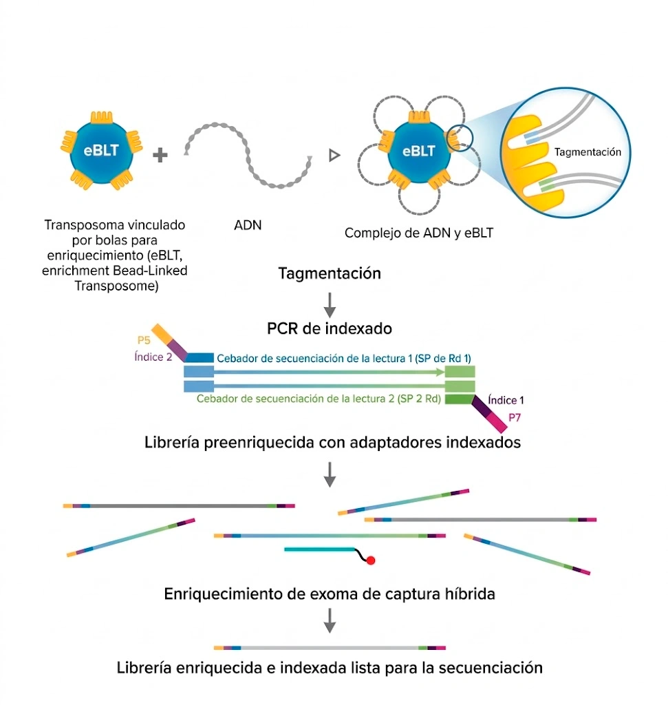 Preparación de Librerías Illumina