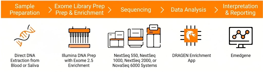 Illumina Exome Workflow
