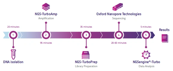 NGS-Turbo Workflow