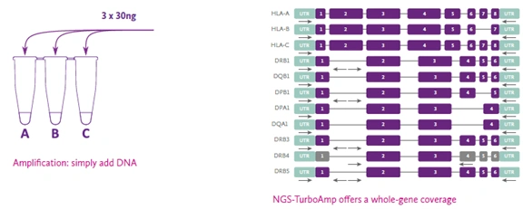 NGSengine-Turbo Results