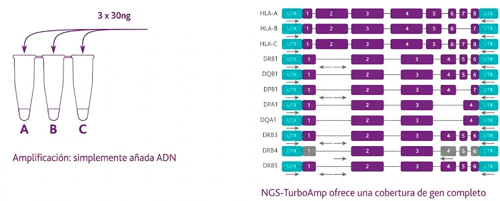 Resultados NGSengine-Turbo