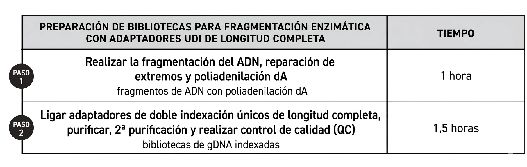 Workflow Twist TrueAmp