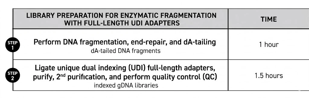Twist TrueAmp Workflow