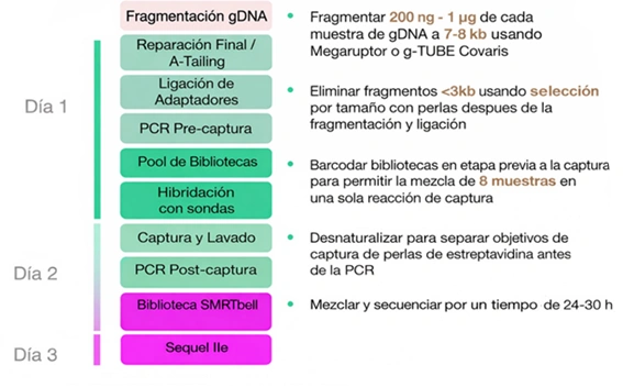 Twist Long-Read Workflow