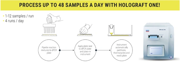 HoloGRAFT ONE Workflow
