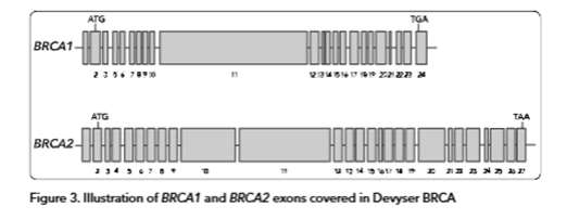 Devyser BRCA NGS