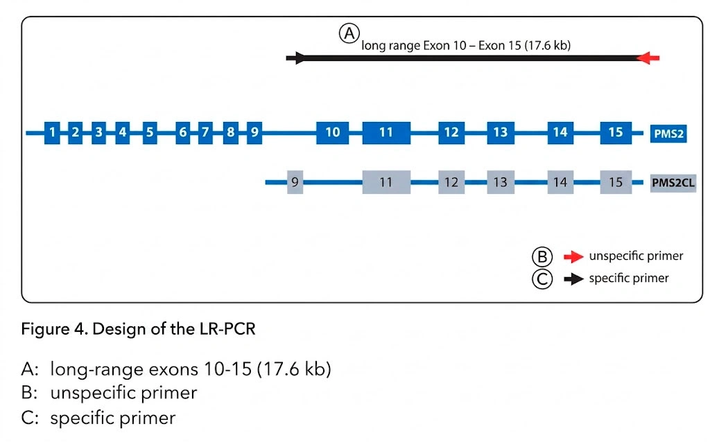 Devyser LynchFAP Coverage