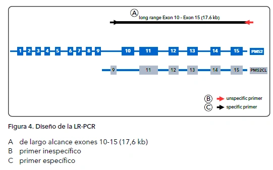 Devyser LynchFAP Cobertura