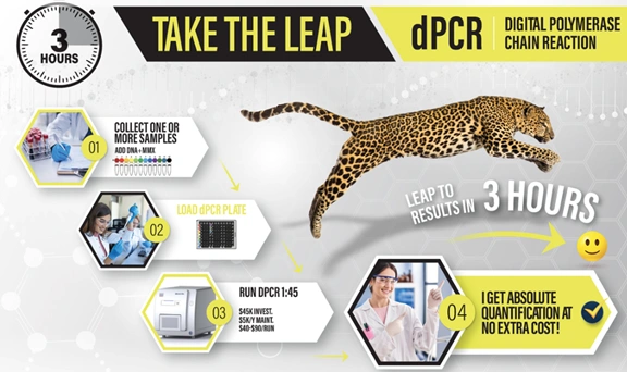 HoloGRAFT ONE Data Analysis
