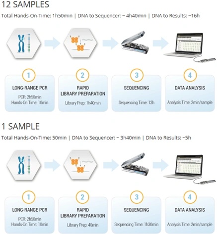 Nanotype analysis software