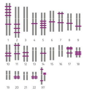 KMRtrack and KMRengine