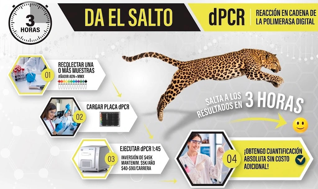 Gráficas HoloGRAFT ONE