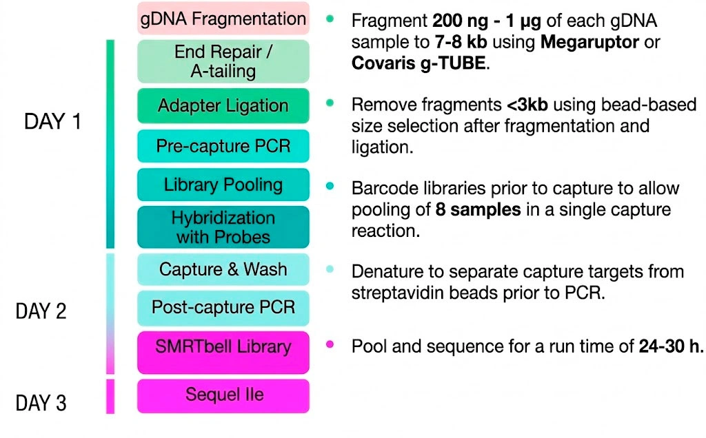 Twist Long-Read Workflow