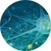 Neurociencia