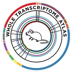 GeoMx Mouse Whole Transcriptome Atlas