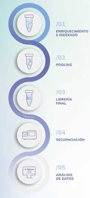 Principio de funcionamiento VIASURE 16S V1-V4 NGS Solution