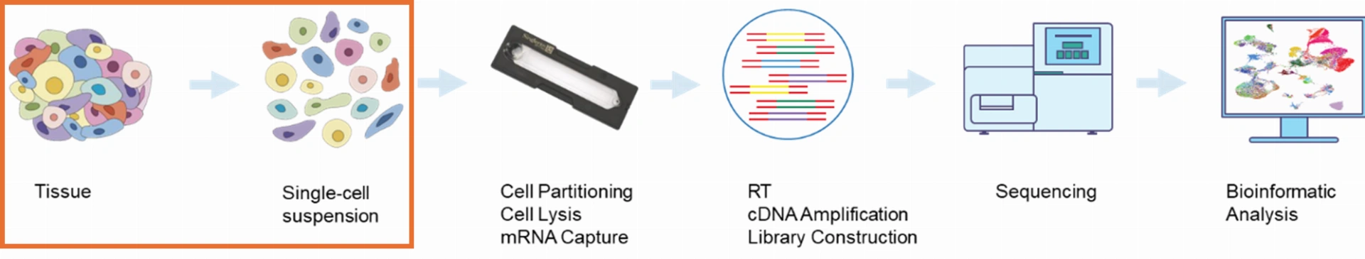 Singleron dissociation instruments