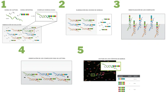 How nCounter works