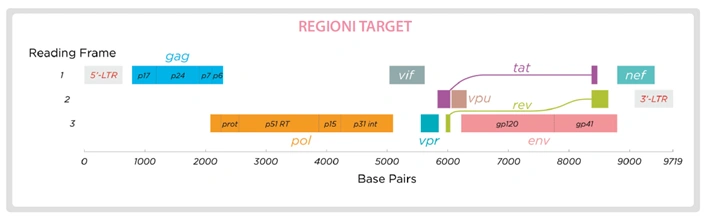 AD4SEQ HIV-1 Whole Genome workflow