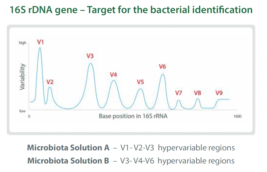 Operating Principle Microbiota Solution