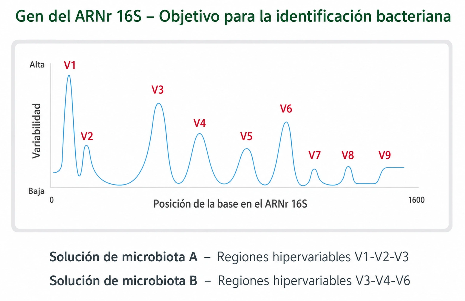 Principio de funcionamiento Microbiota Solution