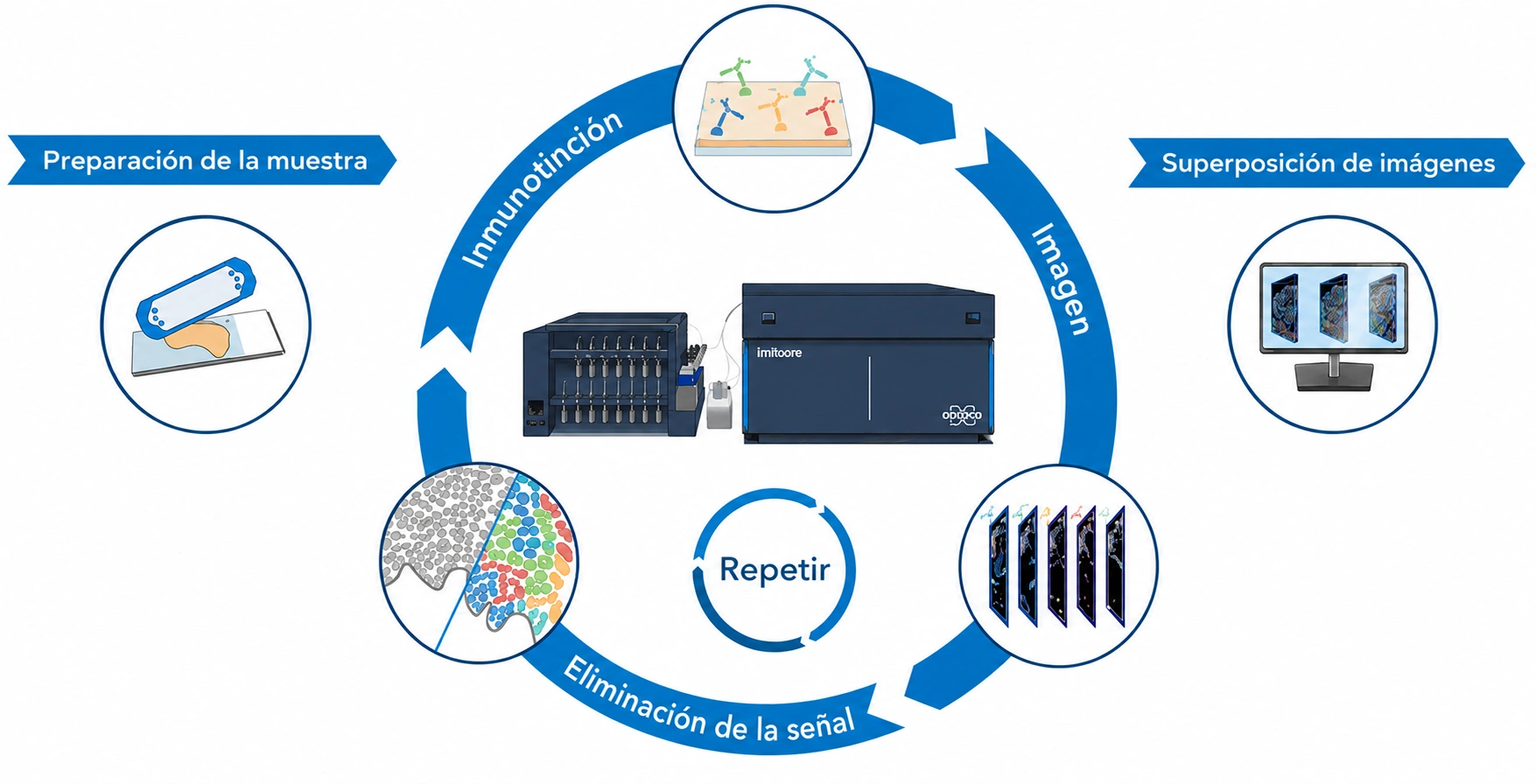 Flujo de trabajo CellScape
