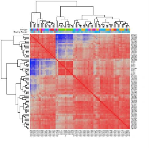 nSolver Data Analysis