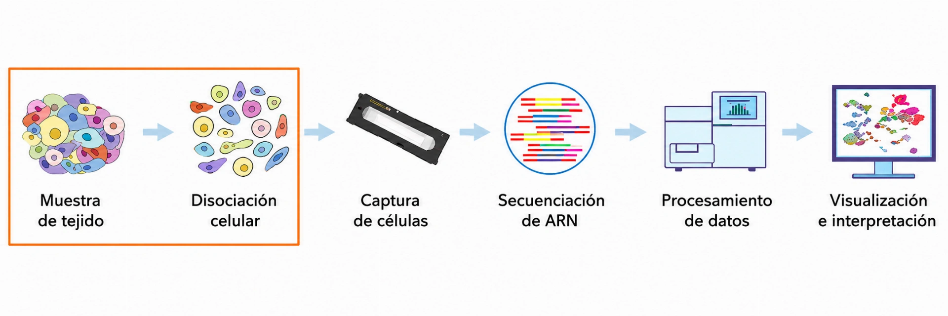 Instrumentos de disociación Singleron
