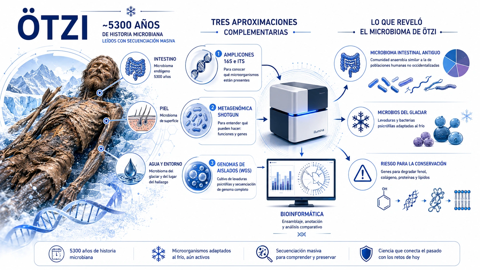 Microbioma de Ötzi - Imagen del estudio